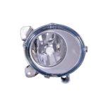 Fendinebbia Destro Scania Serie P - R - Esterno